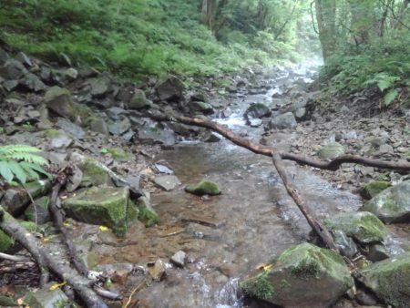 渓流ベイトフィネス第２回戦